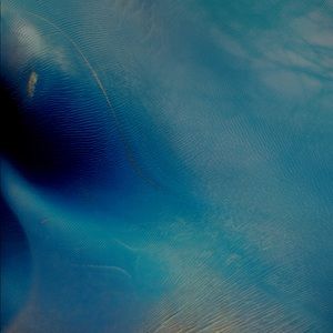 Meet your Posher, Edgar